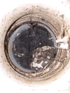 Protegido: Enero 2026_Pruebas en SSHH_Dr Leonor Fierro