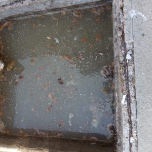 Protegido: Desobstrucción Block E